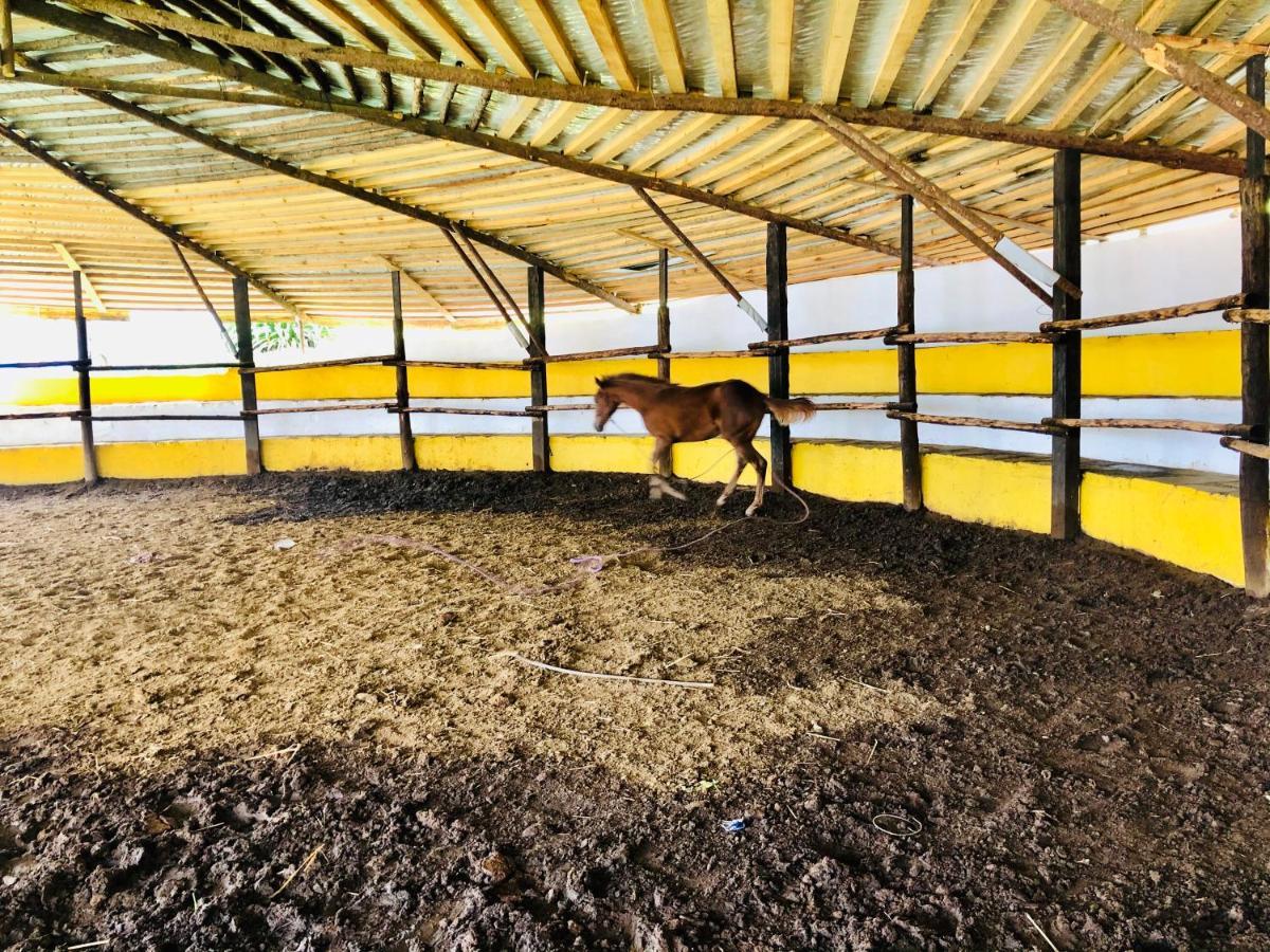 Cabanas El Pajar Zacatlan Bagian luar foto