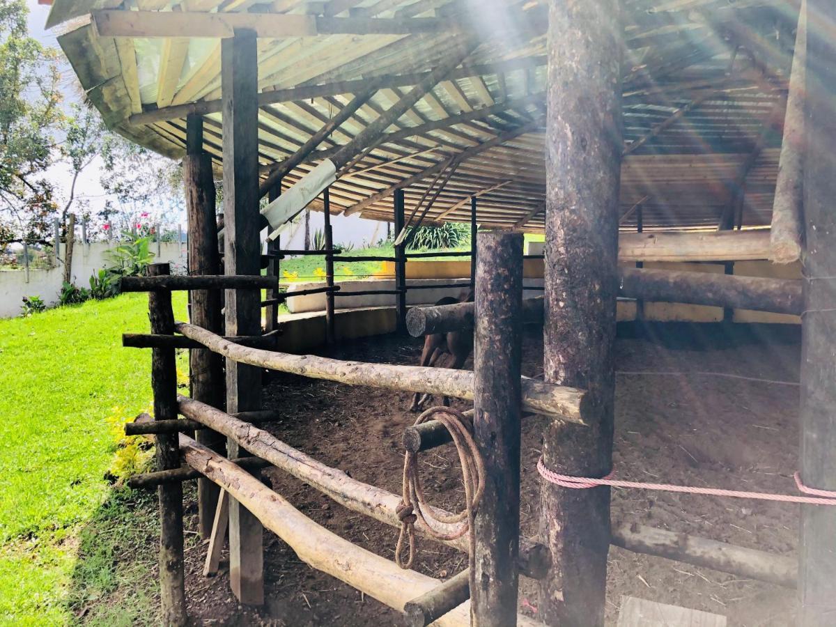 Cabanas El Pajar Zacatlan Bagian luar foto